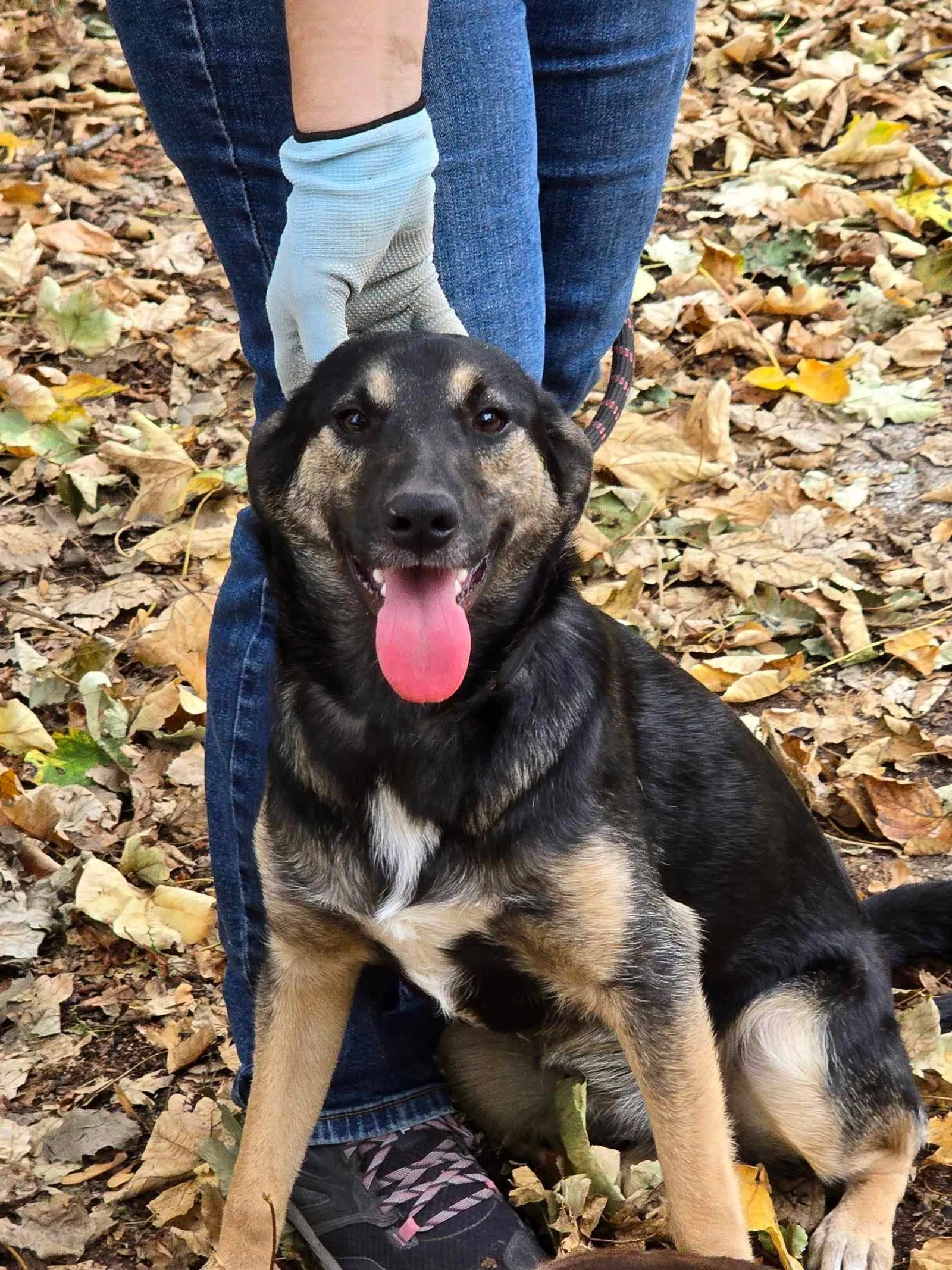 Kira, Bild 19