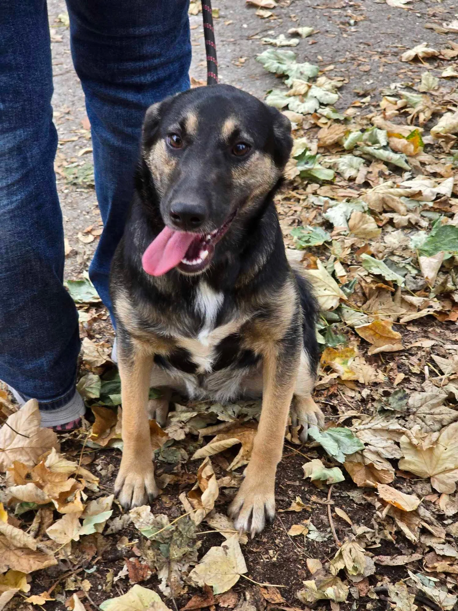 Kira, Bild 17