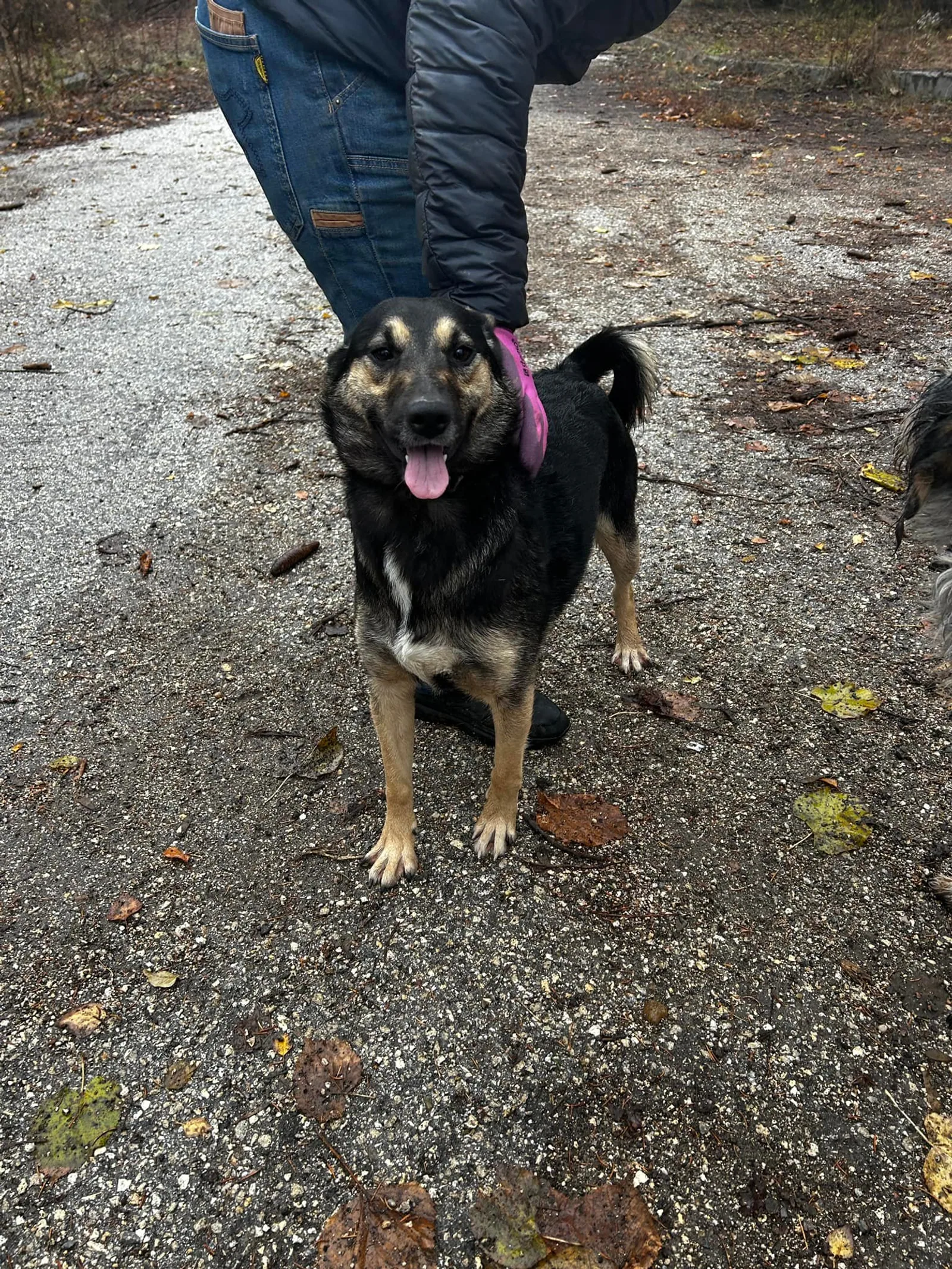 Kira, Bild 25